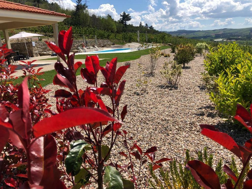 Quinta Bemboa Turismo Espaco Rural Aricera Exterior foto