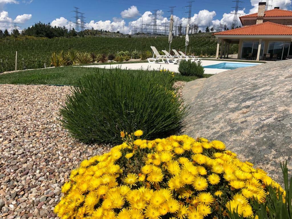 Quinta Bemboa Turismo Espaco Rural Aricera Exterior foto